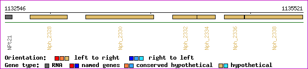gene map
