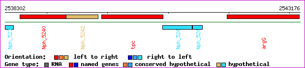 gene map
