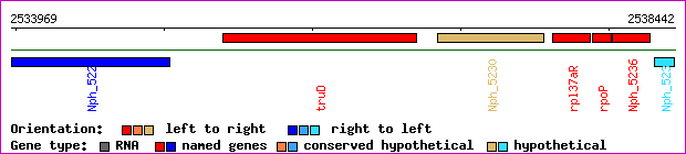 gene map