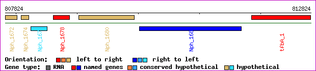 gene map