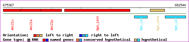 gene map