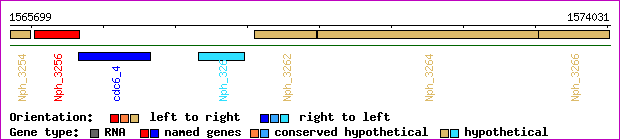 gene map