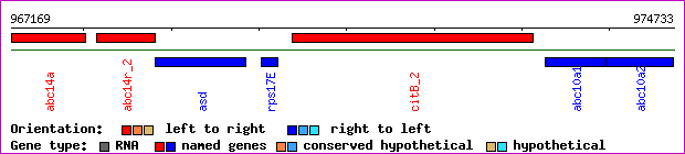 gene map