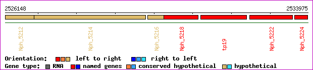 gene map