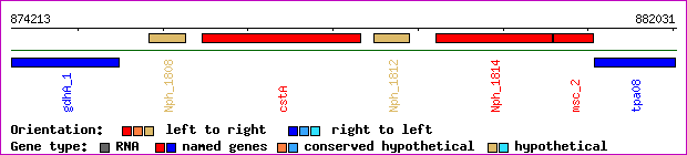 gene map