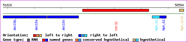 gene map
