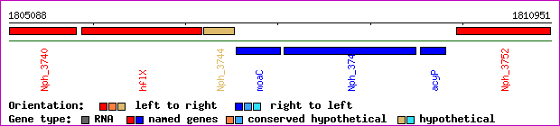 gene map