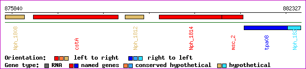 gene map