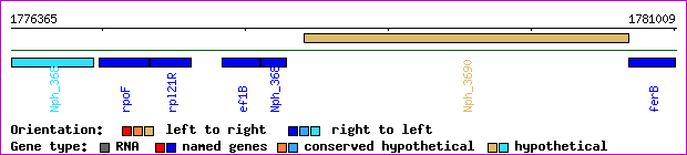 gene map