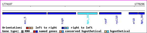 gene map