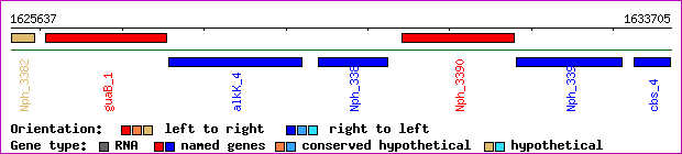 gene map