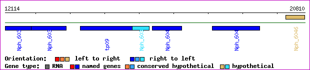 gene map