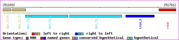 gene map