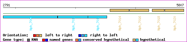 gene map