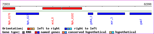 gene map
