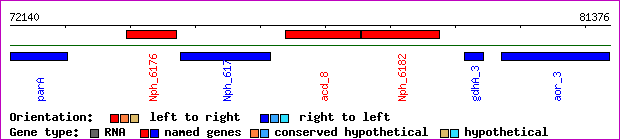 gene map