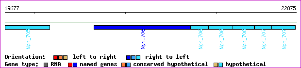 gene map