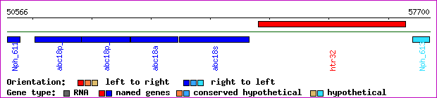 gene map