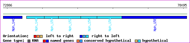 gene map