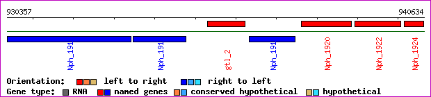 gene map