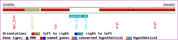gene map