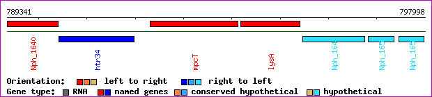 gene map