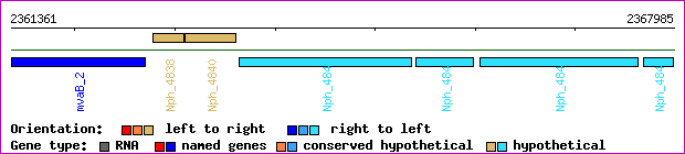 gene map