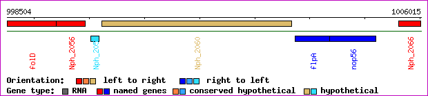 gene map