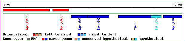 gene map