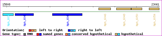 gene map