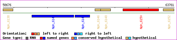 gene map