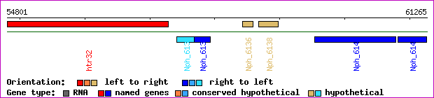 gene map