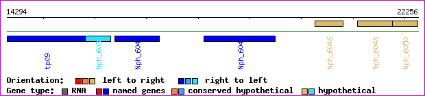 gene map