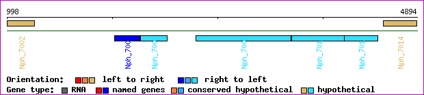 gene map