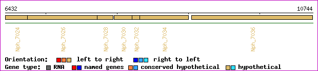 gene map