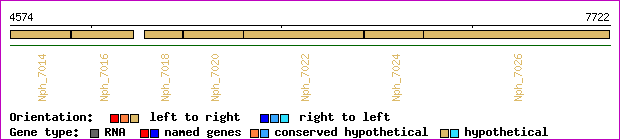 gene map