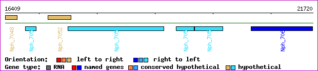gene map