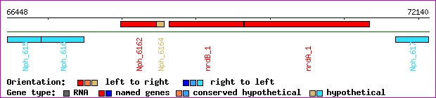 gene map