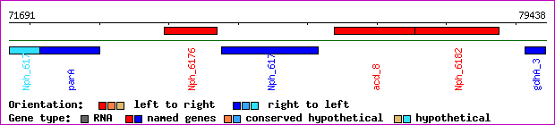 gene map