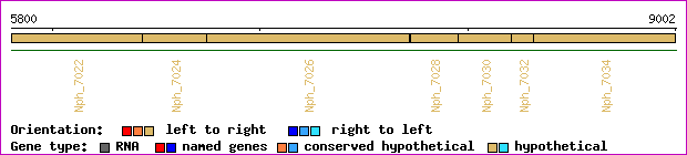 gene map