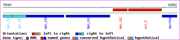 gene map