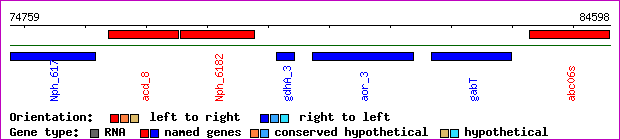 gene map