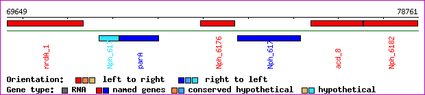 gene map