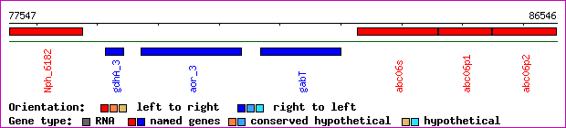 gene map
