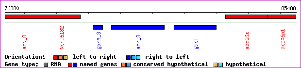 gene map