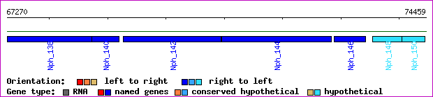 gene map