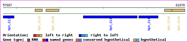 gene map