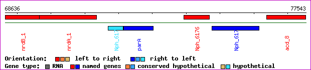 gene map