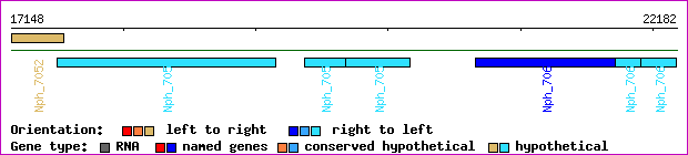 gene map