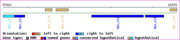 gene map